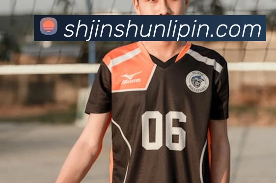2026世界杯官网入口服务体系